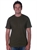 OLIVE 5815