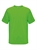 LIME 376