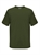 OLIVE 5815