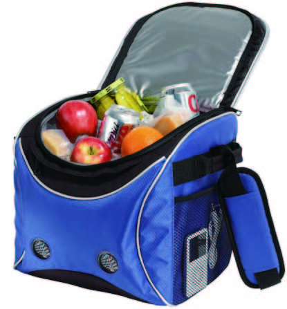 ICE RIVER SPEAKER COOLER