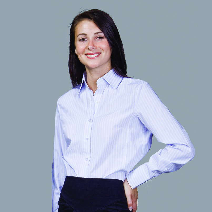 CAREER LADIES L/S SHIRT