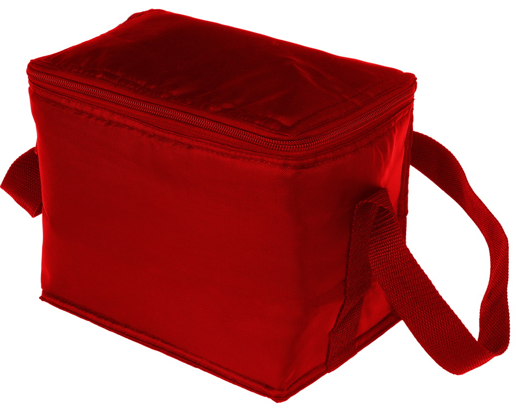 EVERYDAY COOLER BAG