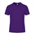 PURPLE 2617