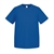 ROYAL BLUE 2827